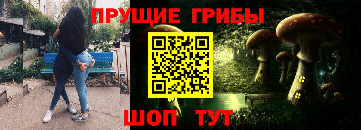 Псилоцибиновые грибы мицелий Гусиноозёрск